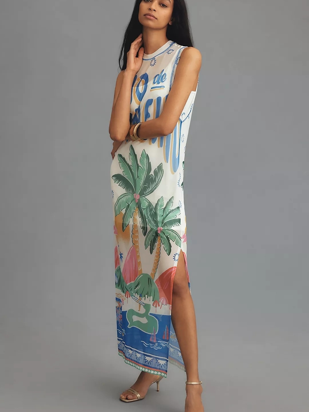 Farm Rio Graphic Mesh Midi Dress- NWOT